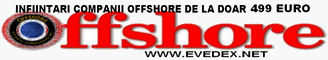 Infiintari Companii Offshore 599 Euro